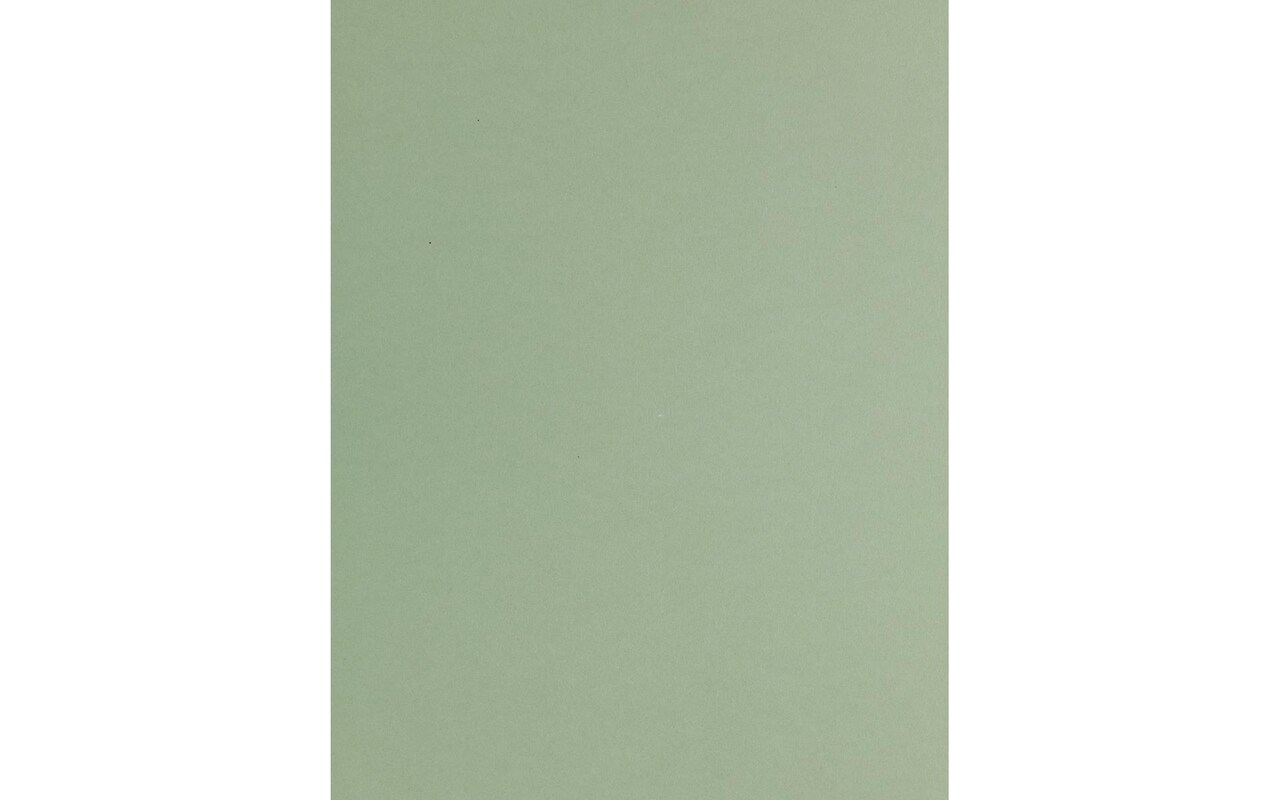 PA Paper Accents Smooth Cardstock 8.5 x 11 Sage Green, 65lb colored  cardstock paper for card making, scrapbooking, printing, quilling and  crafts